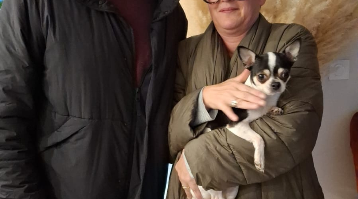 Chiens à adopter